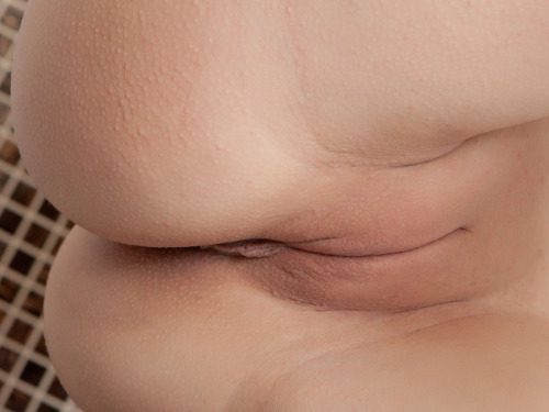 Голые девушки раздвигают руками ягодицы и половых губы 10 фотография